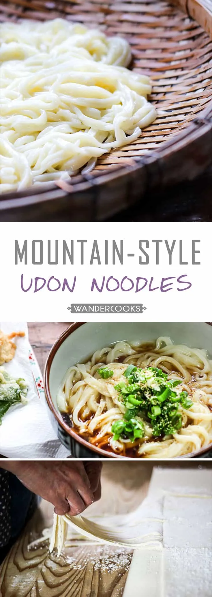 Shikoku Mountain Style Udon Noodles