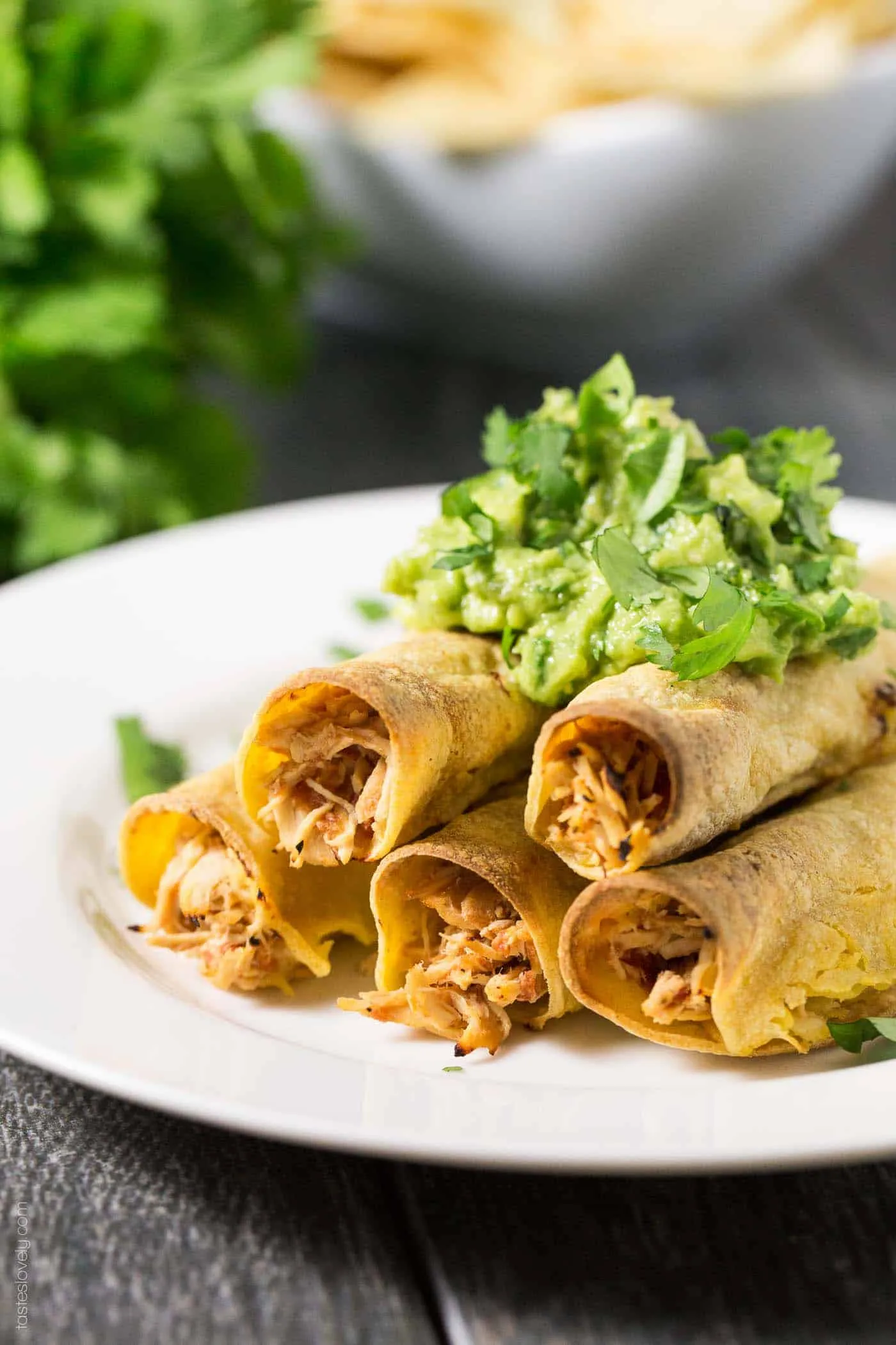 Shredded Chicken Baked Taquitos
