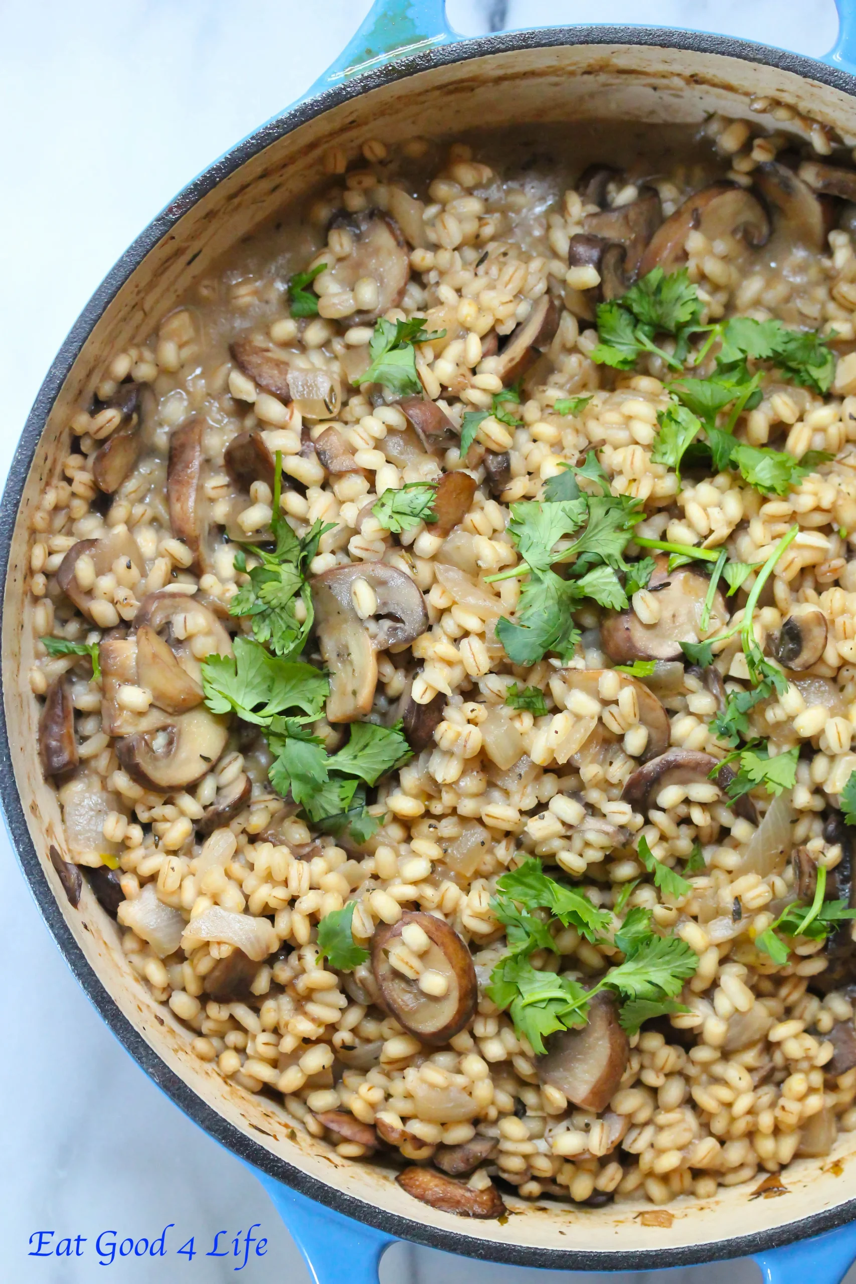 Slow Cooker Mushroom Barley Risotto