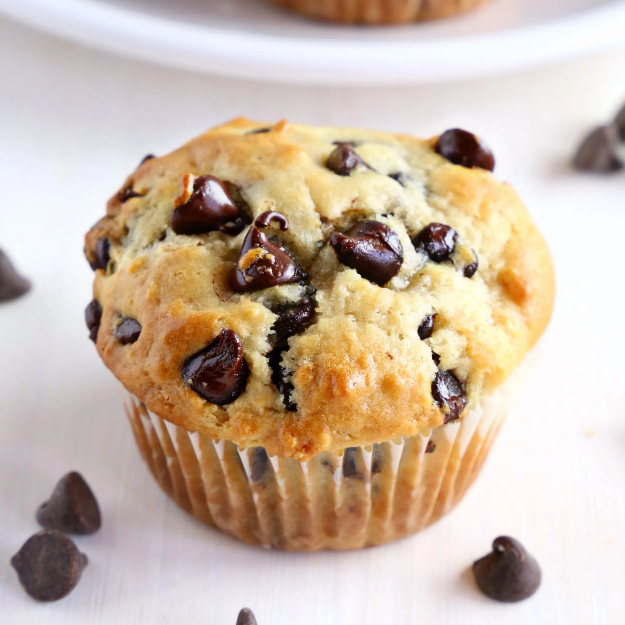 Small Batch Chocolate Chip Muffins with Greek Yogurt