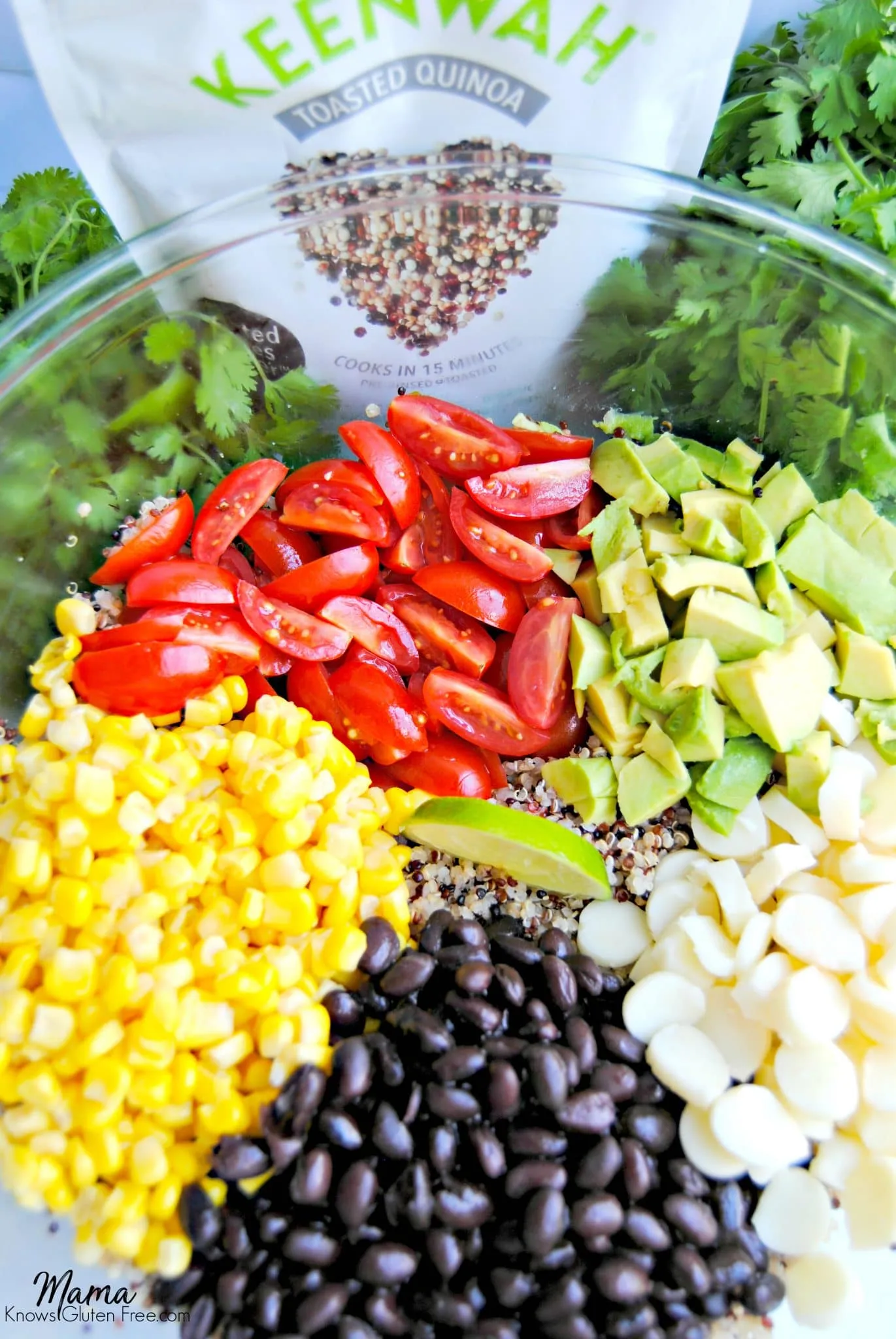 Southwest Quinoa Salad (Gluten Free)