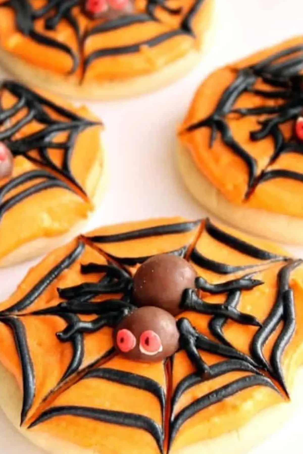Spider Web Sugar Cookies