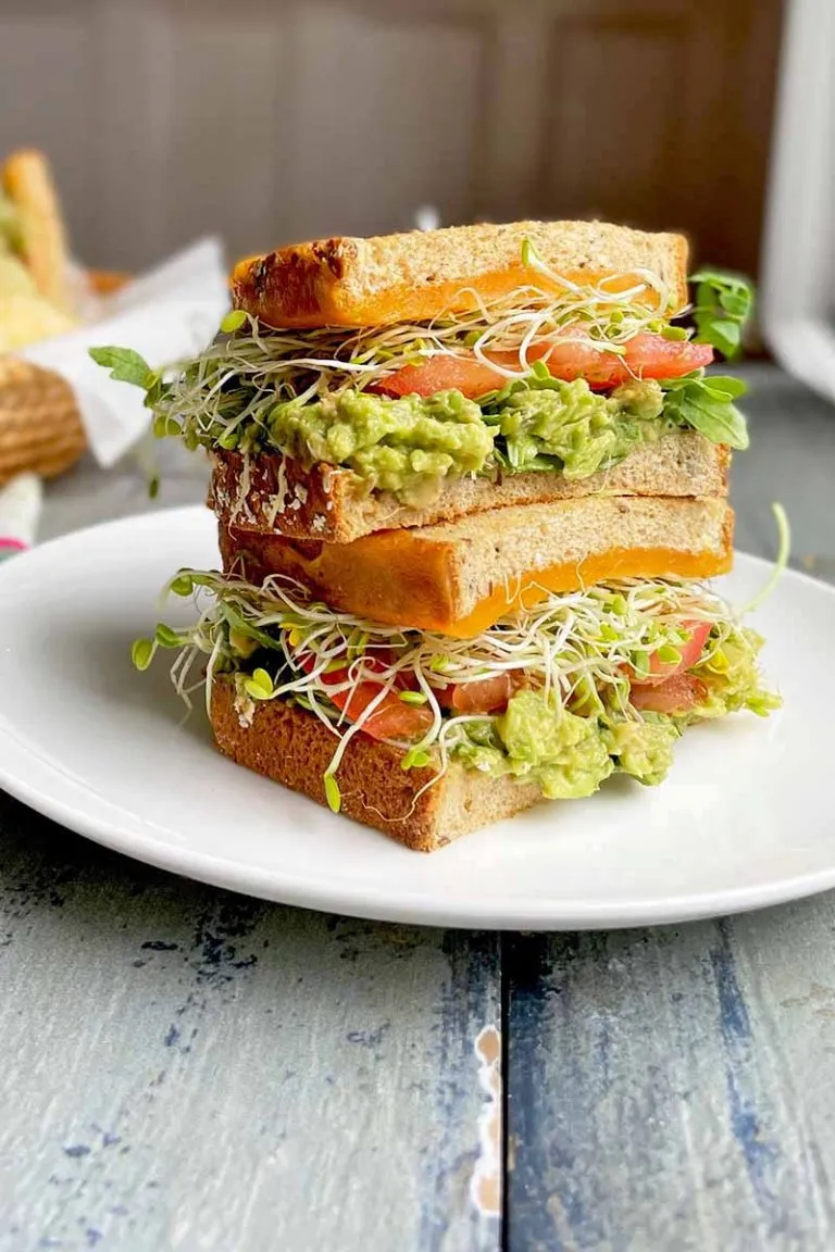 Sprouts and Cheddar Sandwich