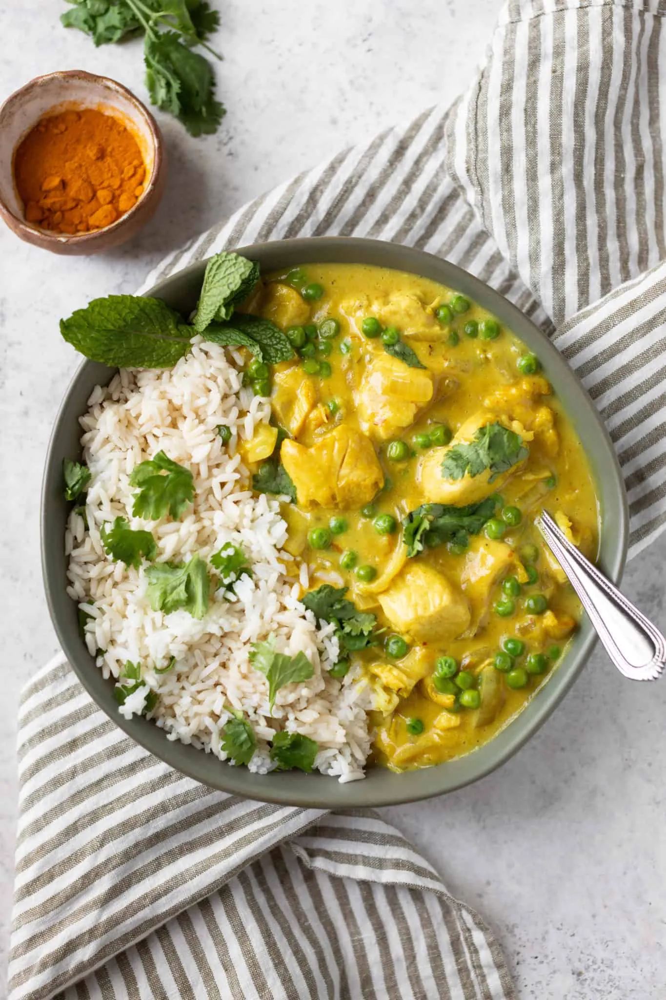 Tame Chicken Curry with Rice and Cilantro