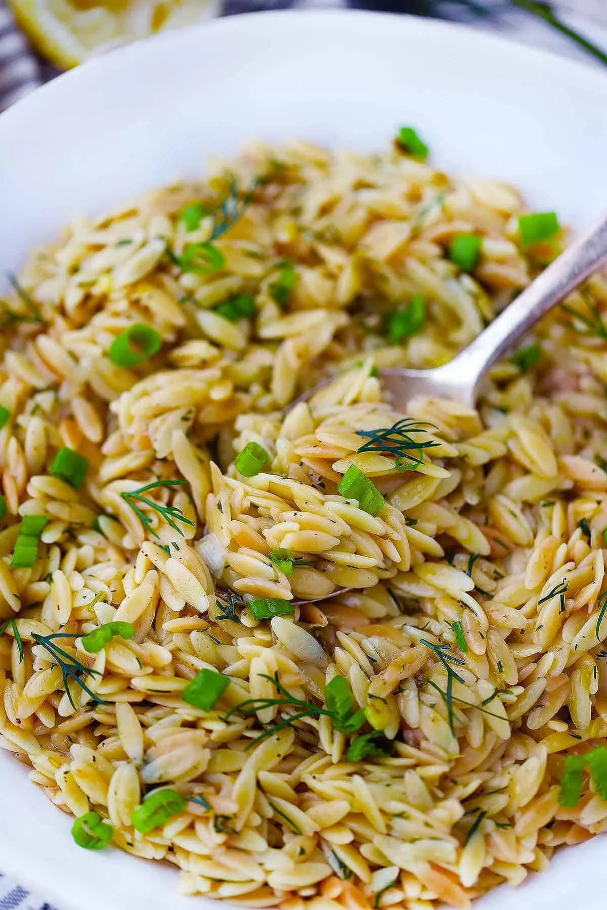Tasty Orzo Pilaf Lower Carb
