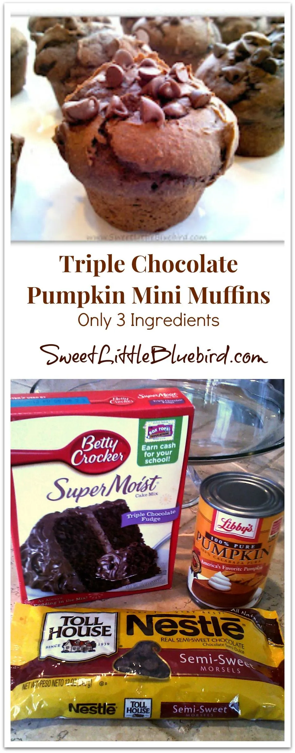 Triple Chocolate Pumpkin Mini Muffins