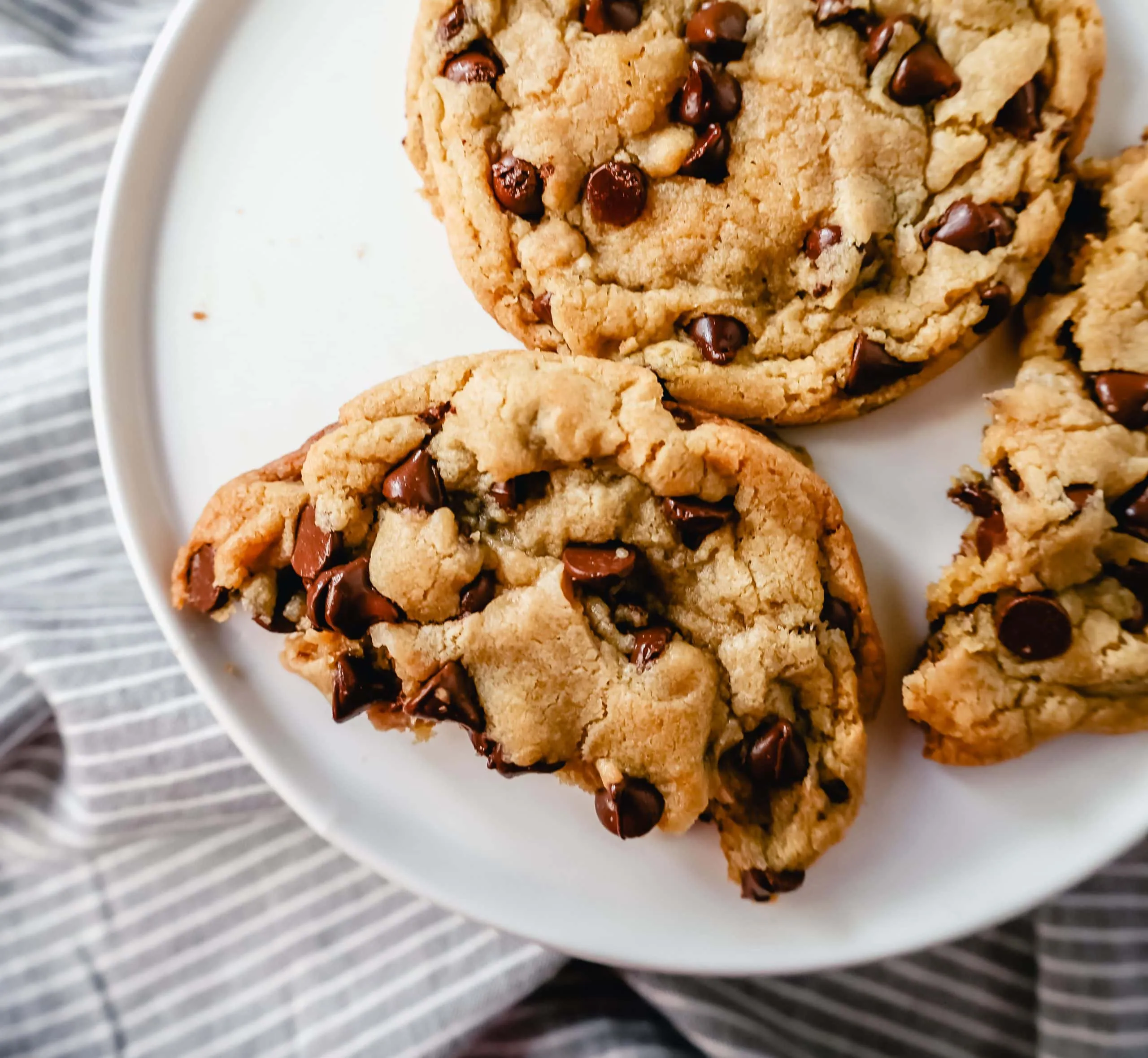 Two Chocolate Chip Cookies