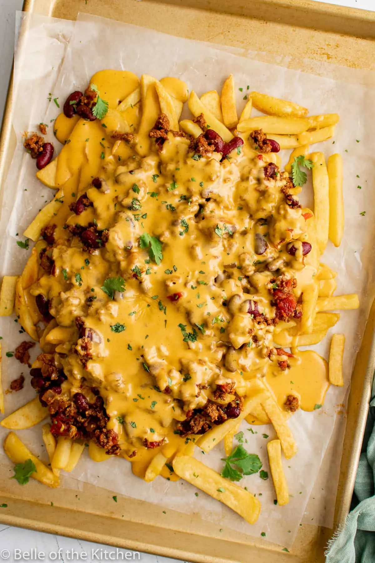 Ultimate Chili Cheese Fries