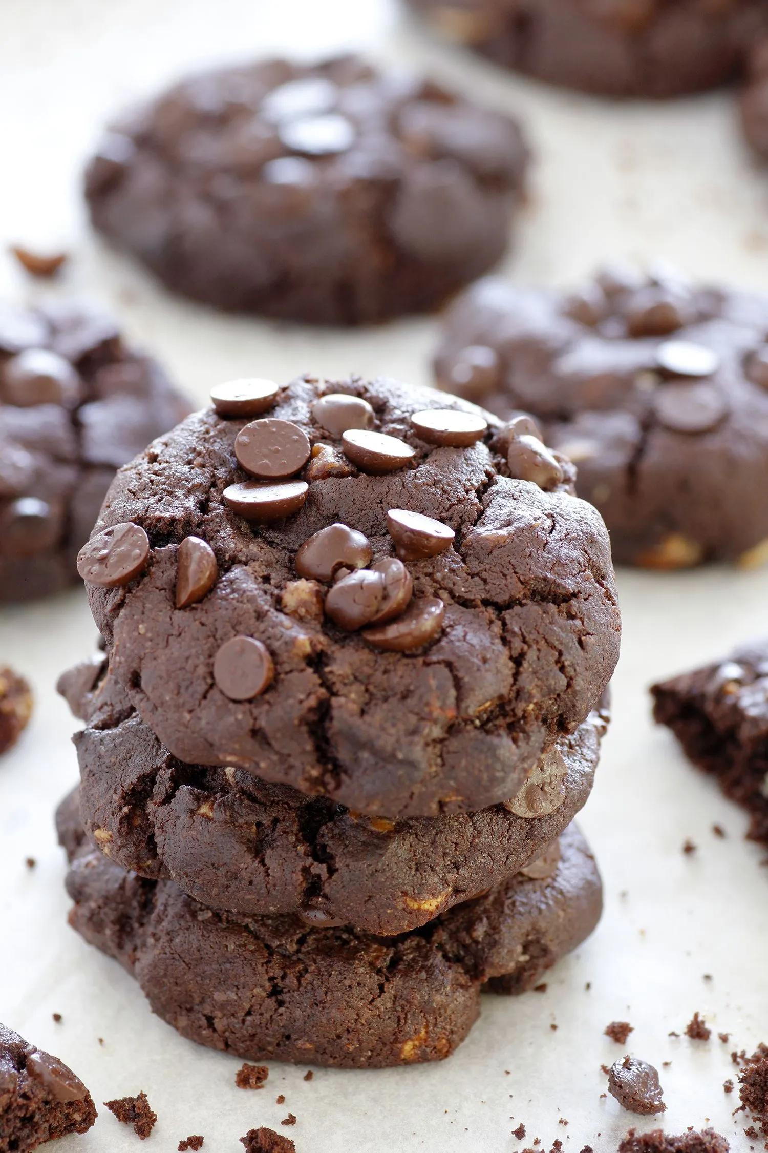Ultra Chocolatey Double Chocolate Chip Cookies