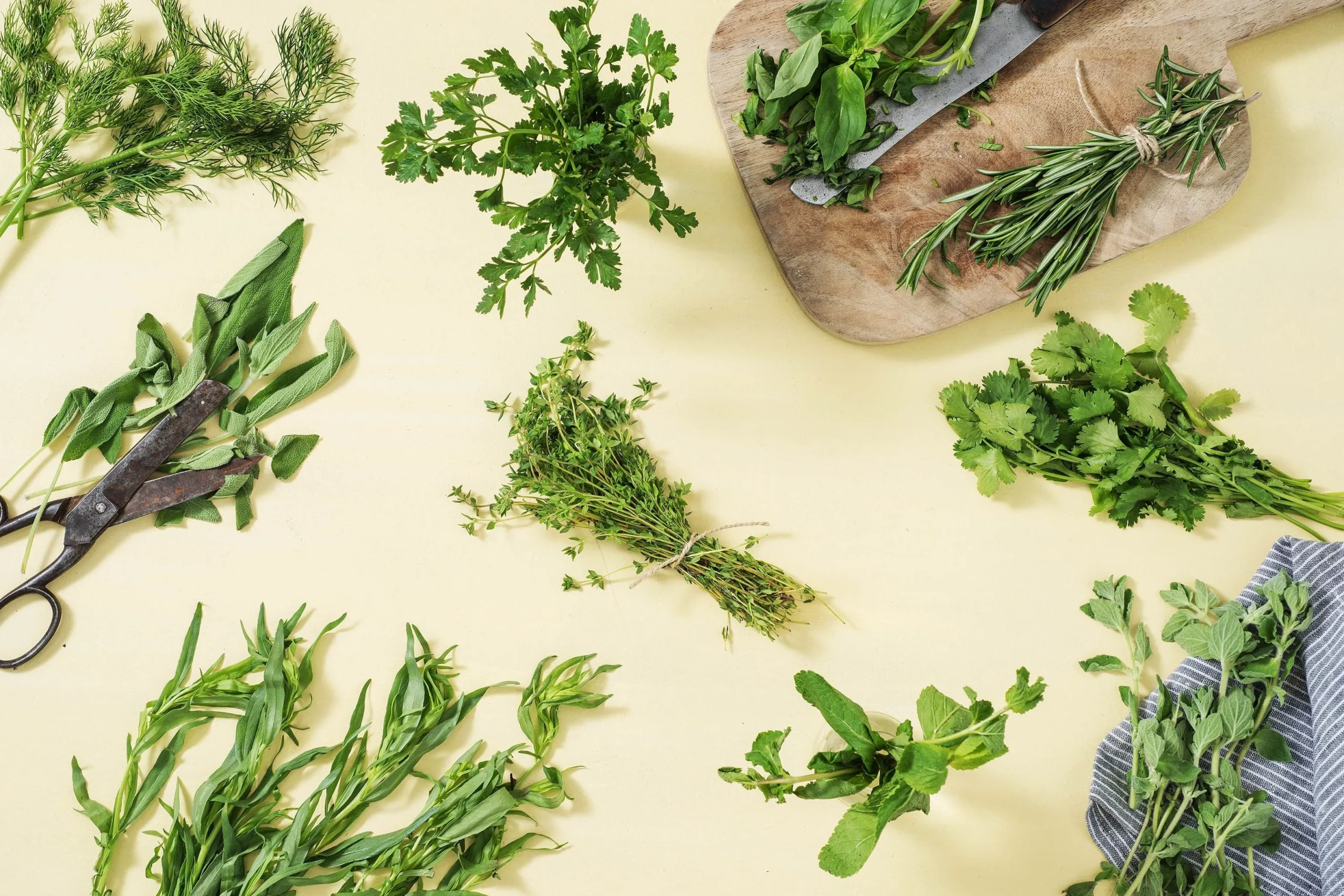 Using Fresh Herbs and Pairing Them with Foods