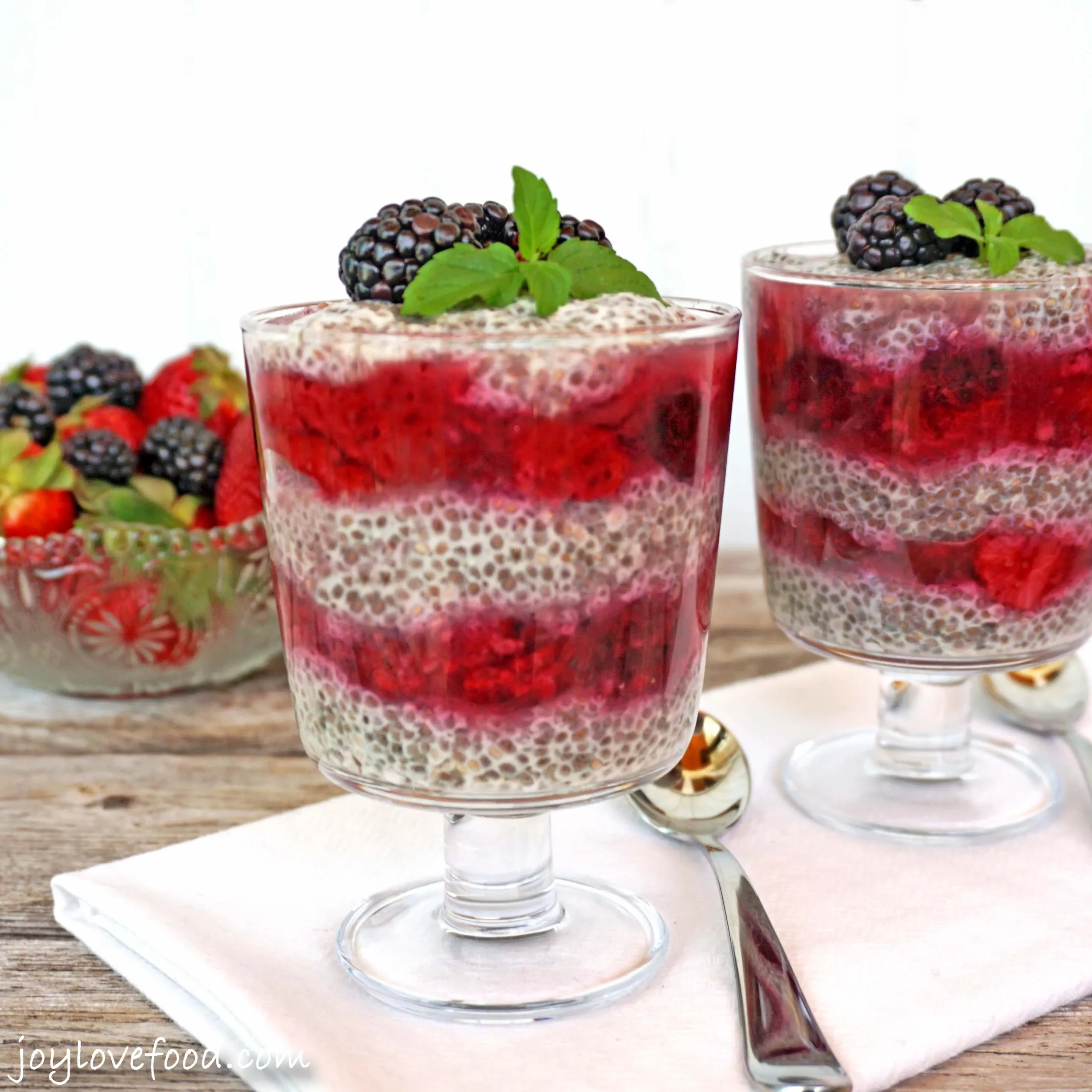 Vanilla Berry Chia Seed Pudding