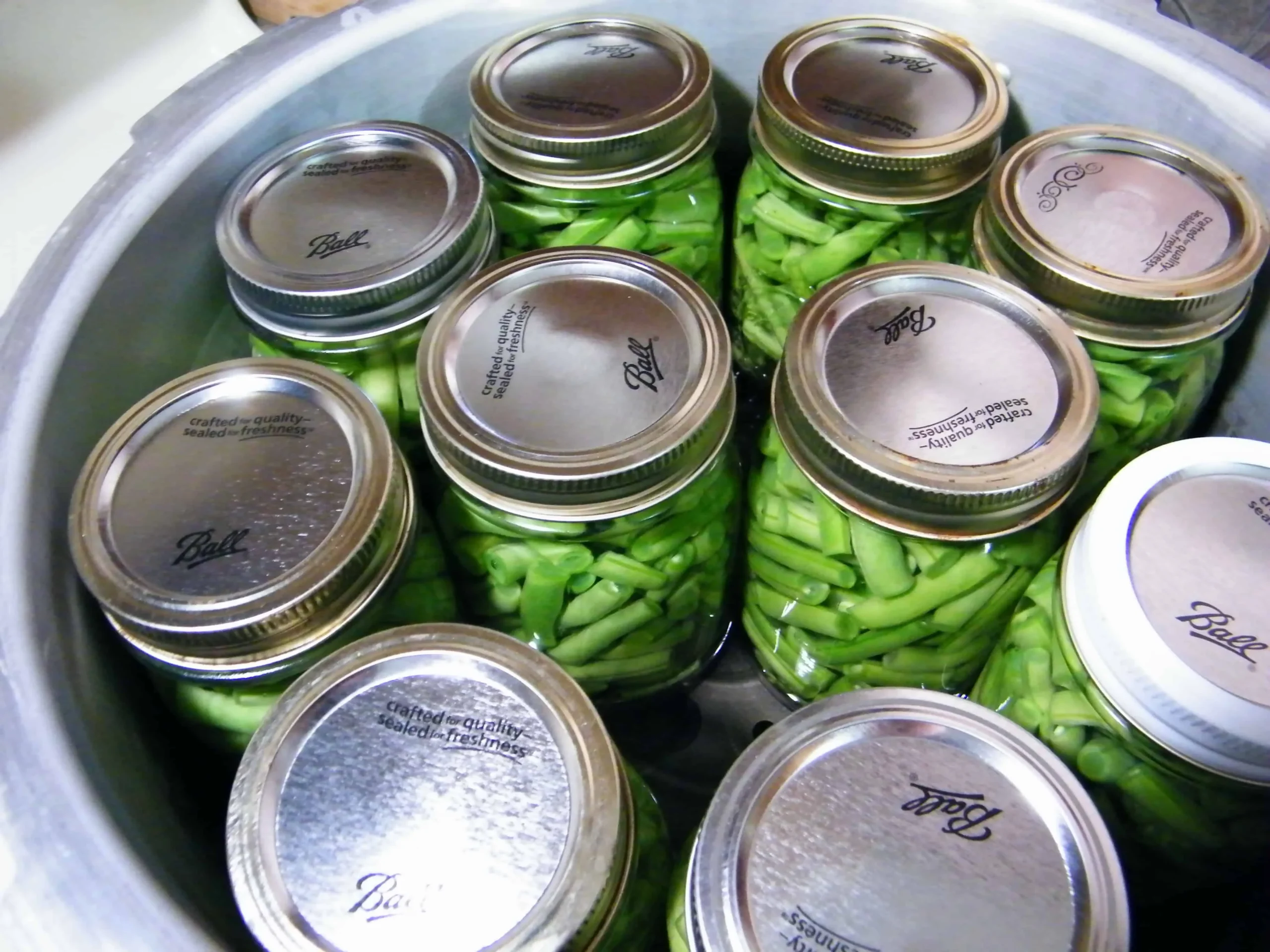 Vera's Garlic Beans in a Jar