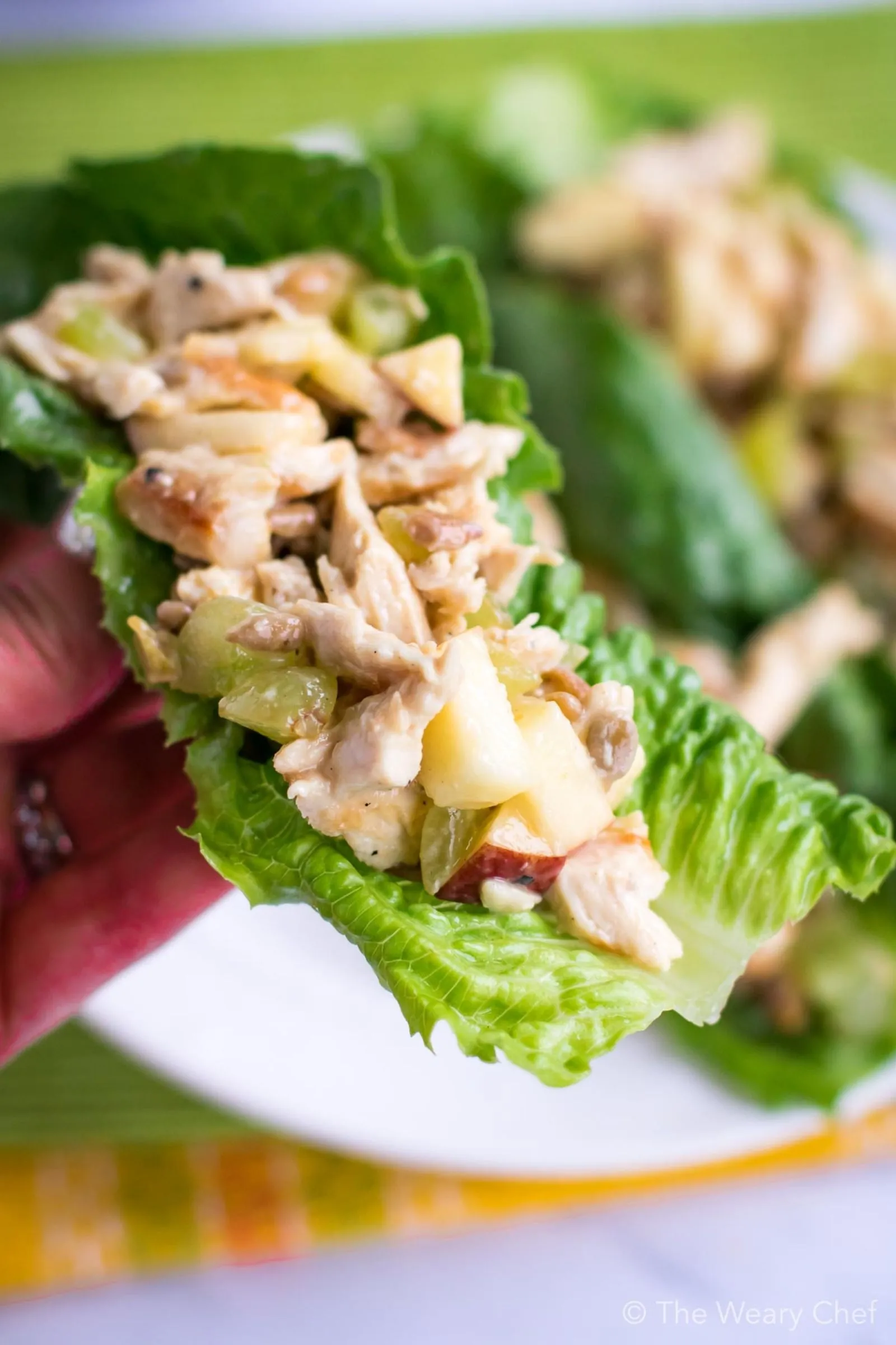 Waldorf Chicken Salad Wraps