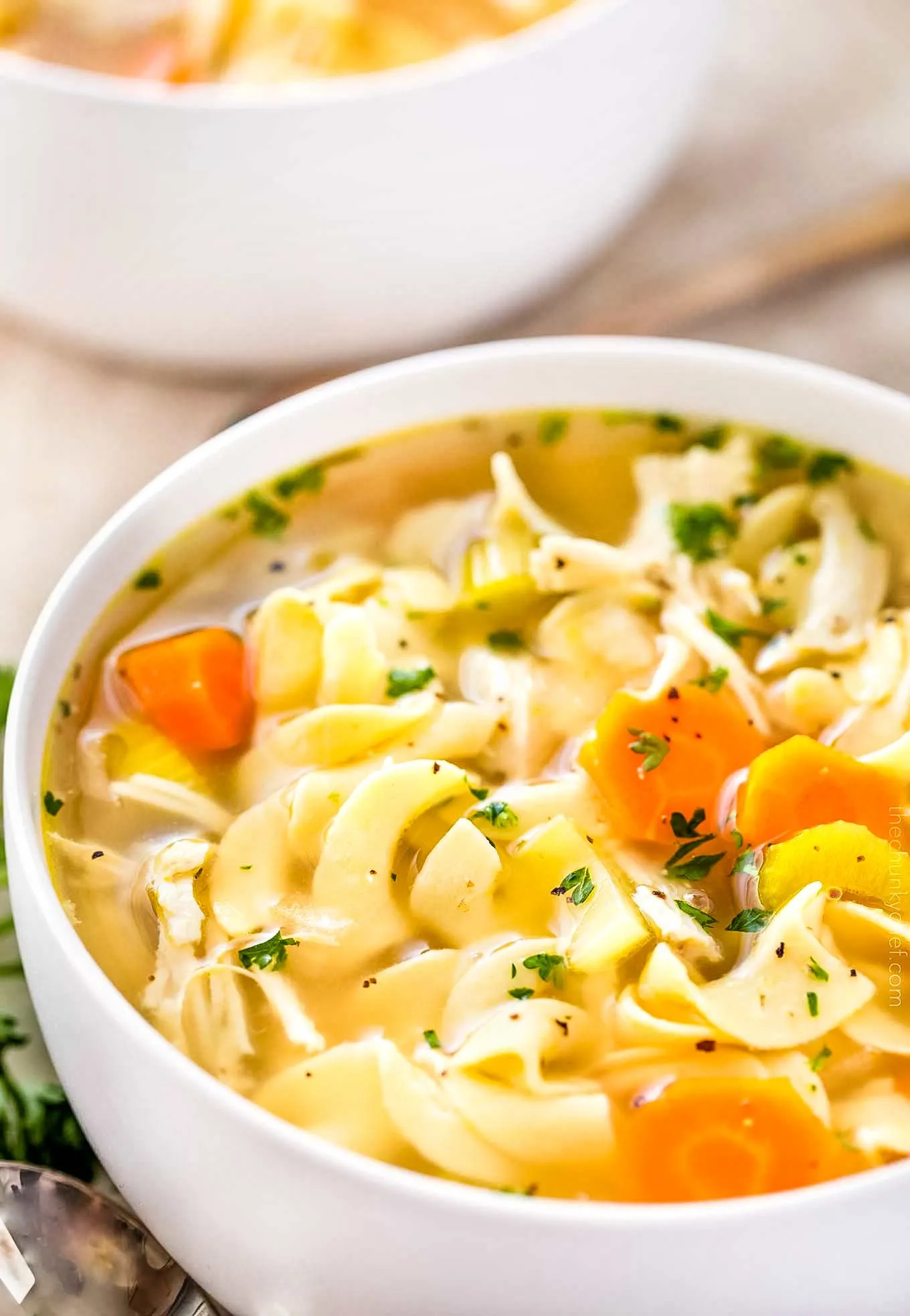 Weeknight Chicken Noodle Soup