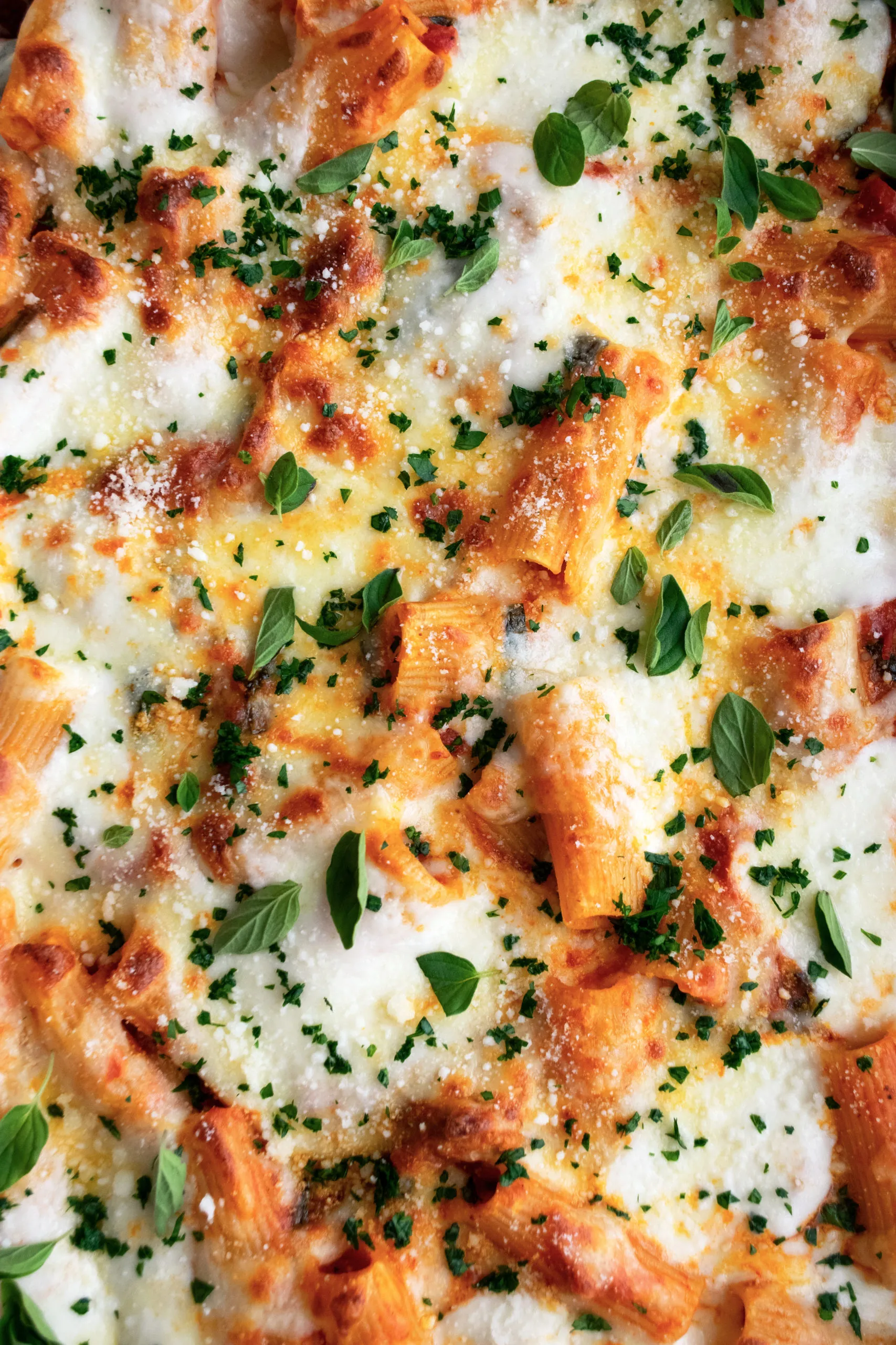oven baked cheese stuffed rigatoni with fresh basil