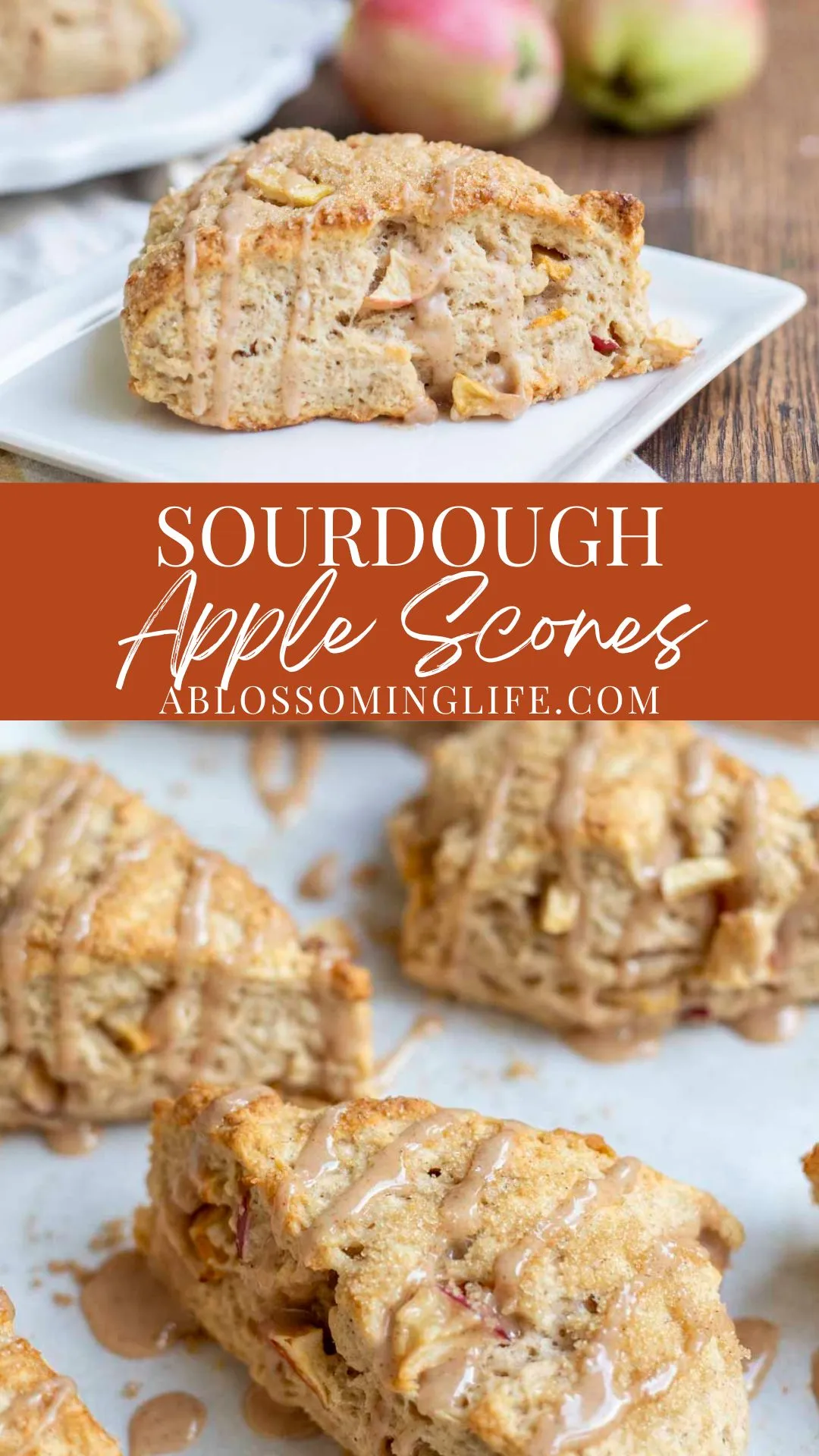 sourdough apple cinnamon scones