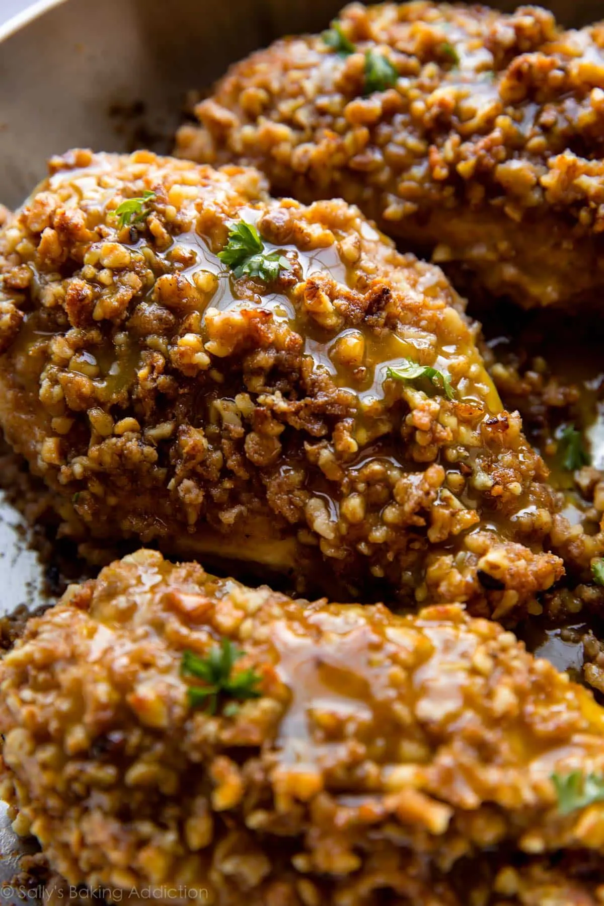 walnut and herb crusted chicken